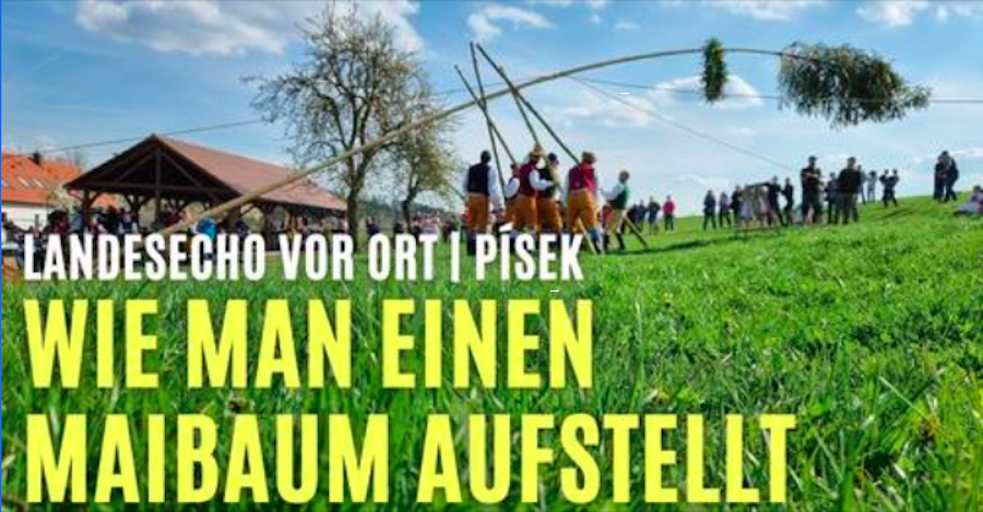 Wie man einen Maibaum aufstellt Wie man einen Maibaum aufstellt